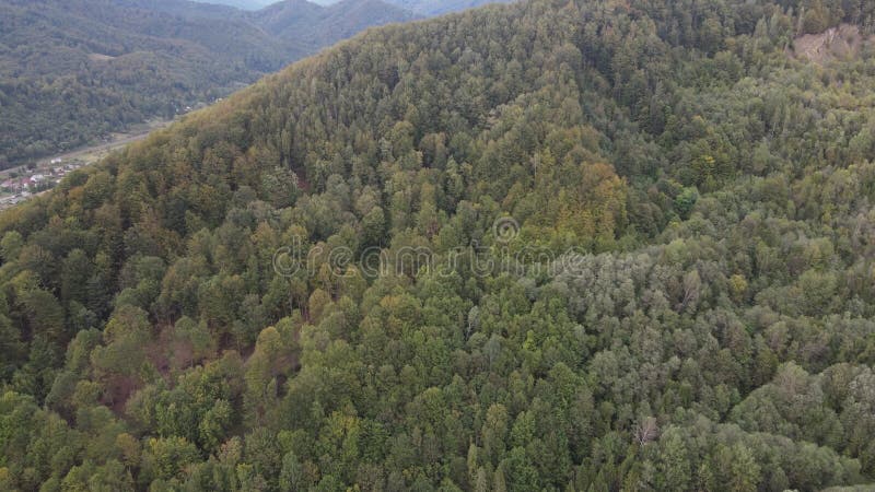 Vista aérea de las montañas carpáticas en otoño. ucrania