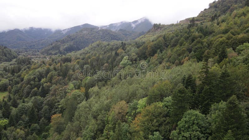 Vista aérea de las montañas carpáticas en otoño. ucrania