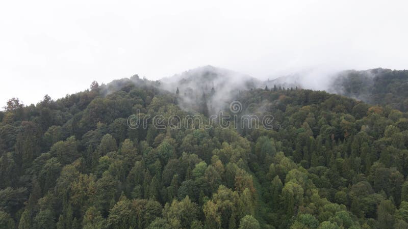 Vista aérea de las montañas carpáticas en otoño. ucrania