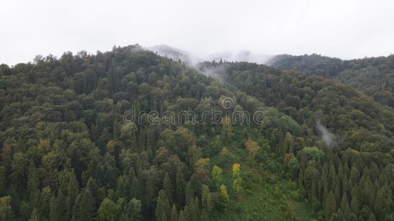 Vista aérea de las montañas carpáticas en otoño. ucrania