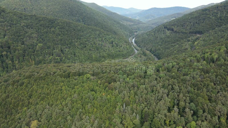 Vista aérea de las montañas carpáticas en otoño. ucrania