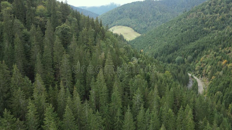 Vista aérea de las montañas carpáticas en otoño. ucrania