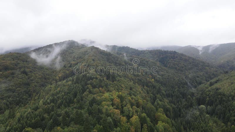 Vista aérea de las montañas carpáticas en otoño. ucrania