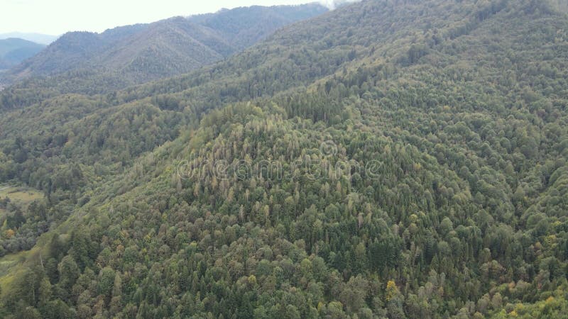 Vista aérea de las montañas carpáticas en otoño. ucrania