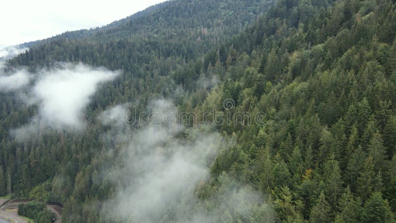 Vista aérea de las montañas carpáticas en otoño. ucrania