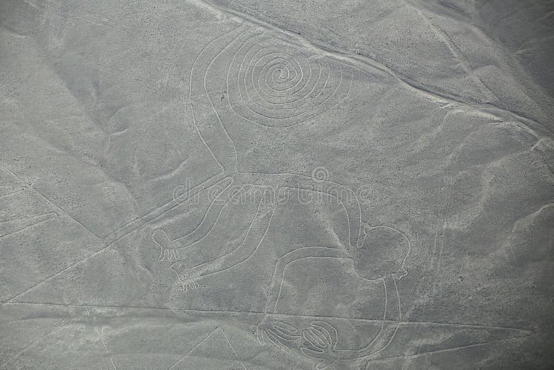 A vista aérea de Nazca alinha - Monkey o geoglyph, Peru