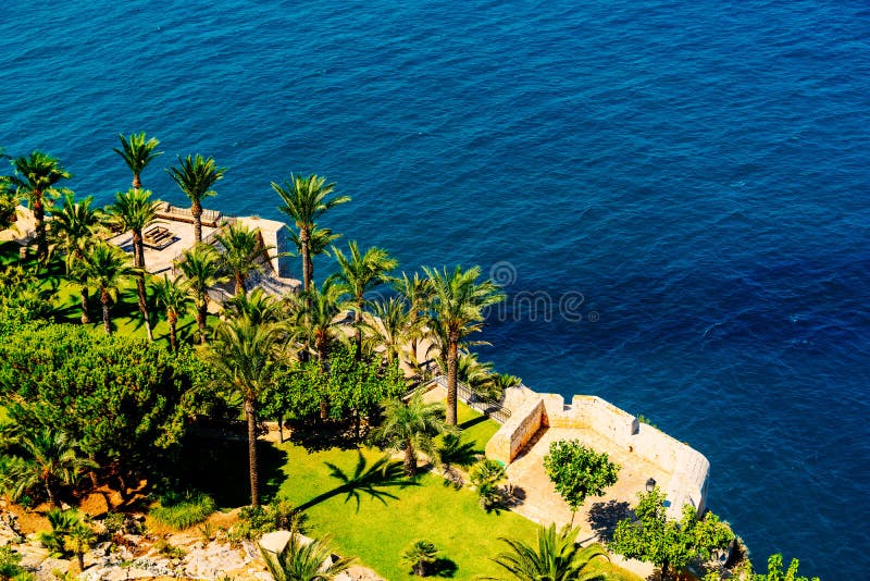 Vista aérea de palmeiras verdes e do oceano azul imagem de stock royalty free Vista aérea de palmeiras verdes e do oceano azul imagem de stock royalty free
