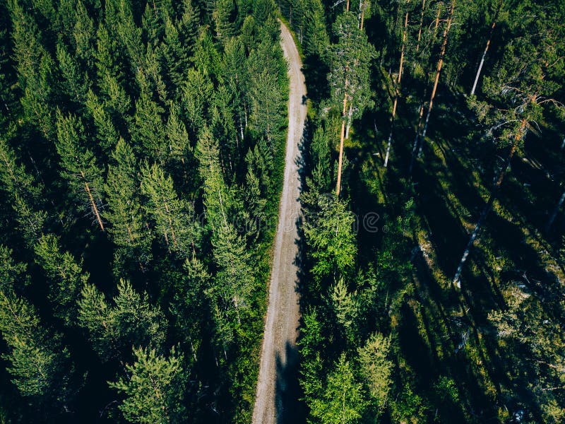 Vista aérea de un camino en bosque verde del verano en Finlandia foto de archivo Vista aérea de un camino en bosque verde del verano en Finlandia foto de archivo