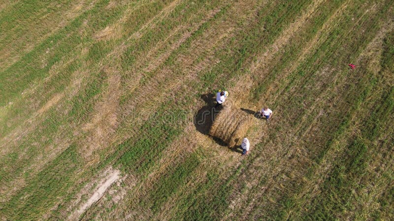 Vista aérea de una familia feliz jugando alrededor de un pajar. almacen de metraje de vídeo