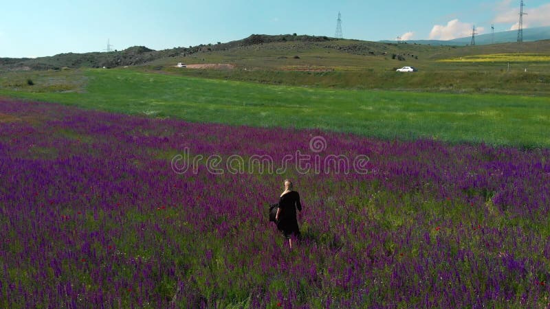 Vista aérea de una joven hermosa mujer disfrutando de la naturaleza en el campo de las amapolas. almacen de metraje de vídeo