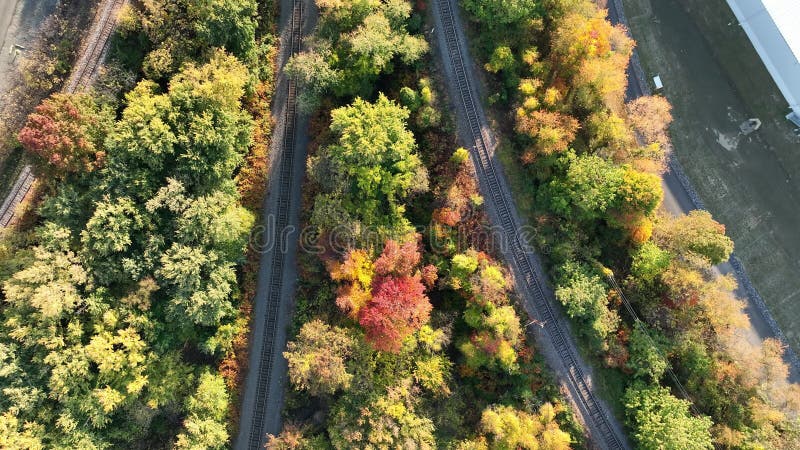 Vista aérea de vías férreas rodeadas de colores otoñales