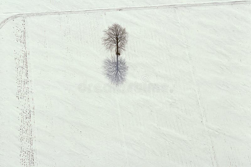 Vista aérea de árboles y de sombras en nieve foto de archivo Vista aérea de árboles y de sombras en nieve foto de archivo