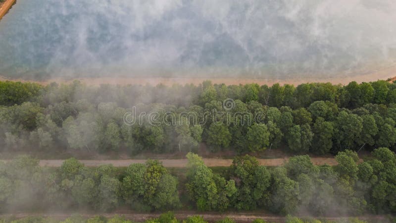 Vista aérea de árvores nebulosas em coloração do nascer do sol na paisagem do outono com floresta em nuvens baixas