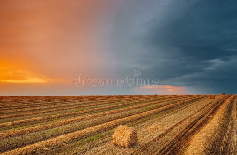 Vista Aérea Del Cielo Brillante Del Sol Sobre El Paisaje De Hay Field De Verano Por La Noche Haystack, Hay Roll en la época del a foto de archivo Vista Aérea Del Cielo Brillante Del Sol Sobre El Paisaje De Hay Field De Verano Por La Noche Haystack, Hay Roll en la época del a foto de archivo