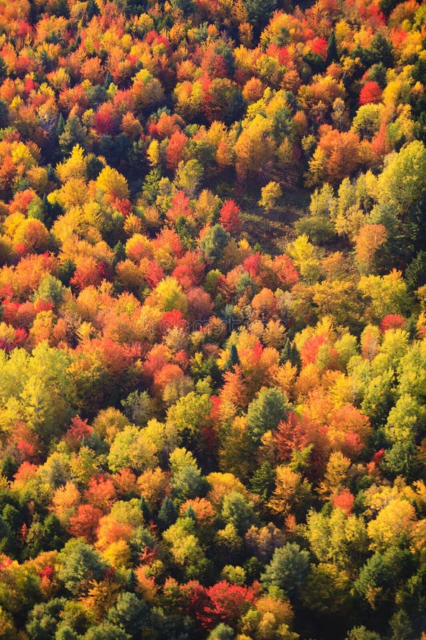 Vista aérea del follaje de otoño en Vermont