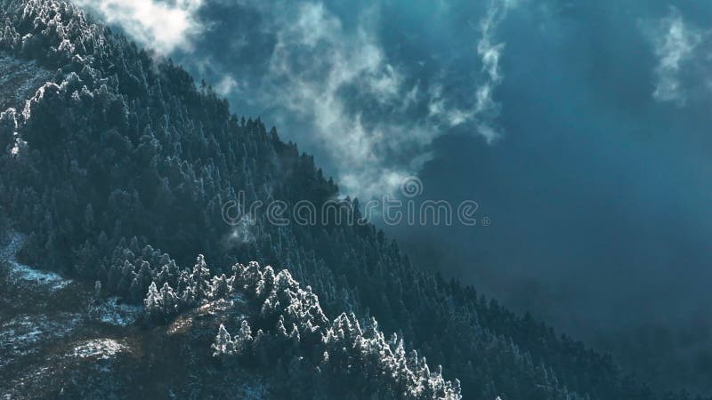 Vista aérea del paisaje invernal en la montaña Hehuan Taiwán. metrajes