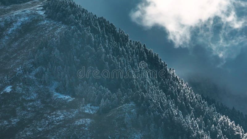 Vista aérea del paisaje invernal en la montaña Hehuan Taiwán. almacen de metraje de vídeo