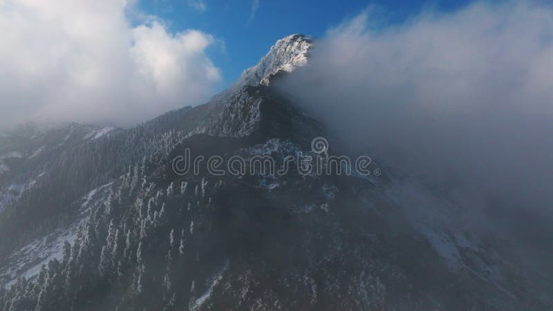 Vista aérea del paisaje invernal en la montaña Hehuan Taiwán. almacen de video