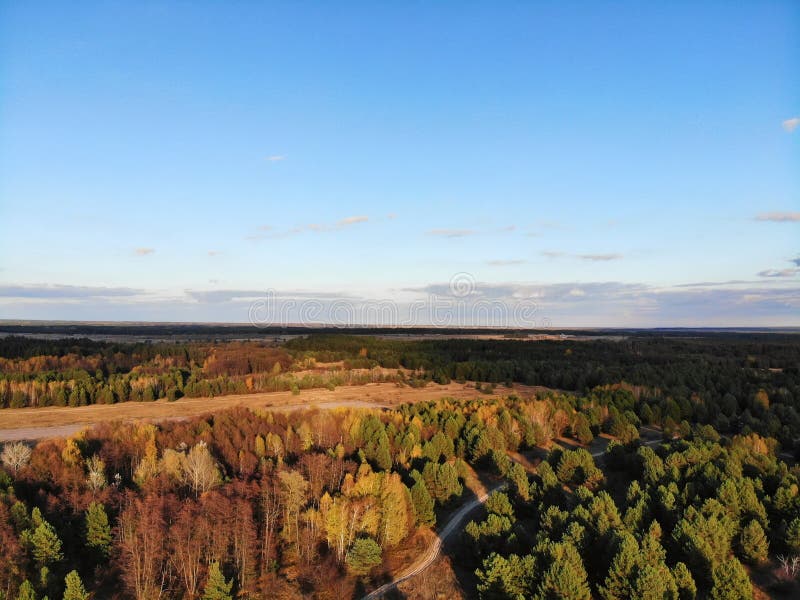 Vista aérea impressionante da floresta em cores do outono foto de stock Vista aérea impressionante da floresta em cores do outono foto de stock
