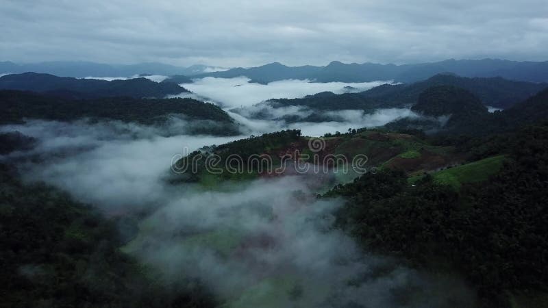 Vista aérea nevoenta sobre a montanha verde em Chiang Dao, Tailândia