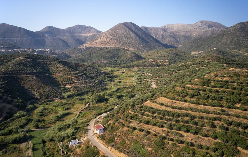 Vista aérea sobre os olivais nos solos e nas encostas das montanhas Creta, Grécia imagem de stock Vista aérea sobre os olivais nos solos e nas encostas das montanhas Creta, Grécia imagem de stock
