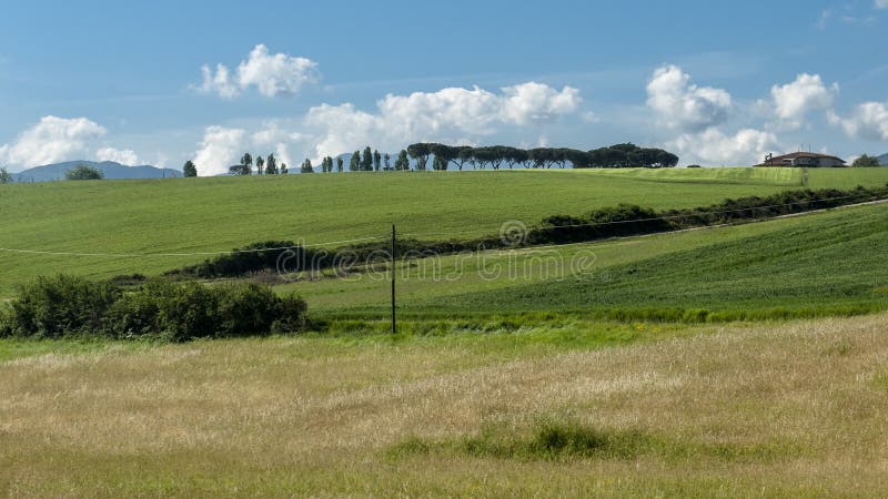 Vista bonita de campos e de prados verdes no por do sol em Toscânia fotografia de stock royalty free Vista bonita de campos e de prados verdes no por do sol em Toscânia fotografia de stock royalty free