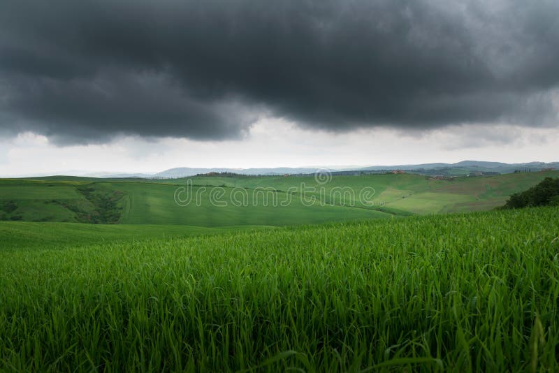 Vista bonita dramática de campos e de prados verdes no por do sol em Toscânia foto de stock Vista bonita dramática de campos e de prados verdes no por do sol em Toscânia foto de stock