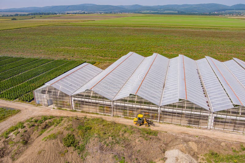 Greenhouse aerial scenic view. Fields for flower and vegetables production. Greenhouse aerial scenic view. Fields for flower and vegetables production