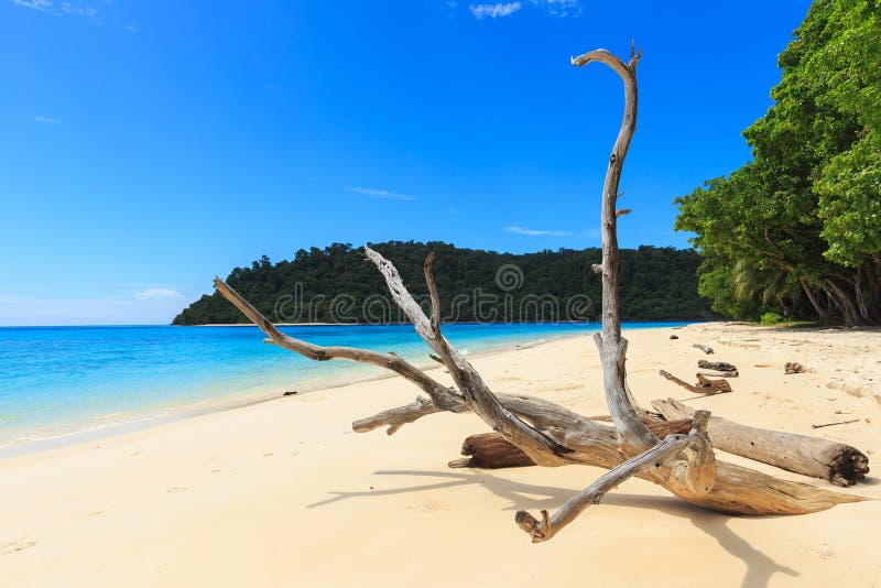 Vista da praia do verão da ilha de Rok em Phuket, Tailândia imagem de stock Vista da praia do verão da ilha de Rok em Phuket, Tailândia imagem de stock