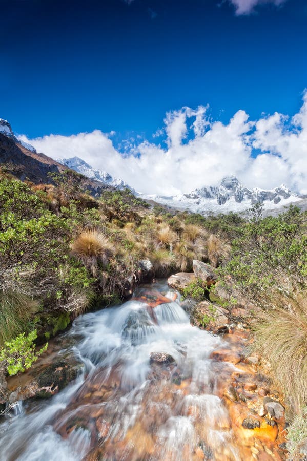 Dossel Verde De Bambu Em Selvas Da Alta Altitude Em Andes Peruanos Com  Montanhas Nuvem-cobertas, Peru Foto de Stock - Imagem de montanha,  floresta: 154208264