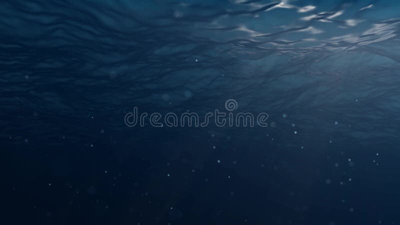 Vista Dada Laços Do Oceano Calmo Fundo Sem Emenda De Fullhd Filme