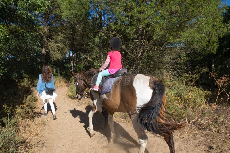 Vista dalla parte posteriore di poco bambino che monta un cavallo accanto a sua madre in una foresta fotografie stock Vista dalla parte posteriore di poco bambino che monta un cavallo accanto a sua madre in una foresta fotografie stock