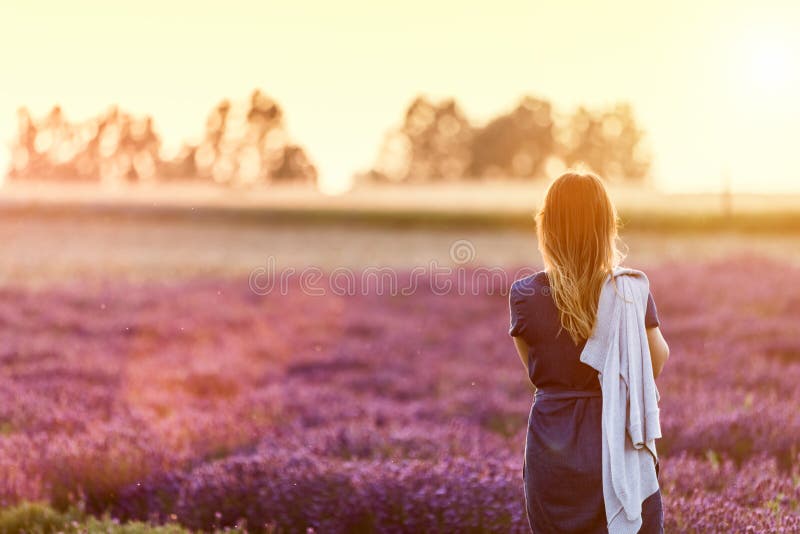 Vista de relaxamento da jovem mulher no campo da alfazema no por do sol foto de stock Vista de relaxamento da jovem mulher no campo da alfazema no por do sol foto de stock