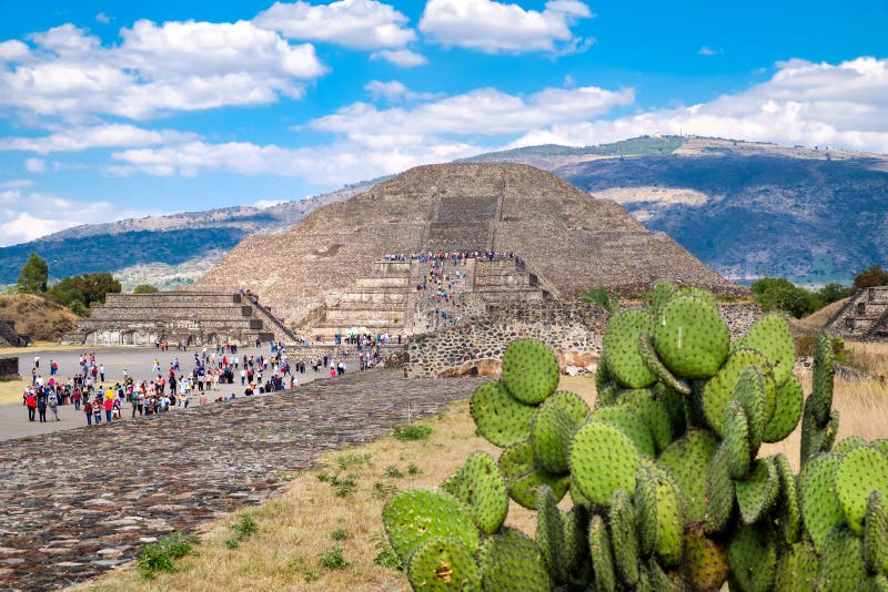 View of Teotihuacan, a major archaeological site in Mexico, with a nopal cactus on the foreground. View of Teotihuacan, a major archaeological site in Mexico, with a nopal cactus on the foreground