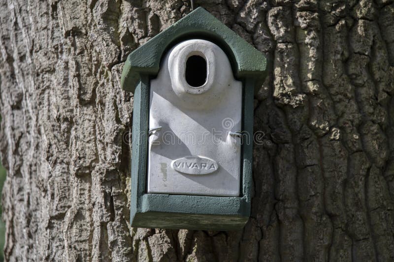 View Of A Birdhouse On A Tree At Amsterdam The Netherlands 18-3-2024. View Of A Birdhouse On A Tree At Amsterdam The Netherlands 18-3-2024.