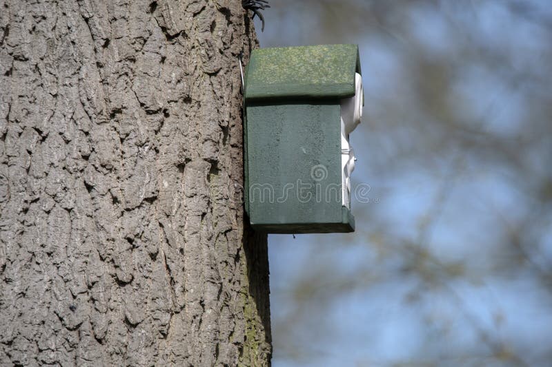 View Of A Birdhouse On A Tree At Amsterdam The Netherlands 18-3-2024. View Of A Birdhouse On A Tree At Amsterdam The Netherlands 18-3-2024.