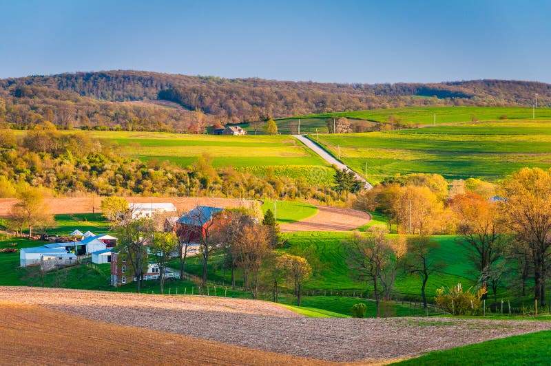 Vista dei campi dell'azienda agricola e di Rolling Hills nella contea di York rurale, Penn