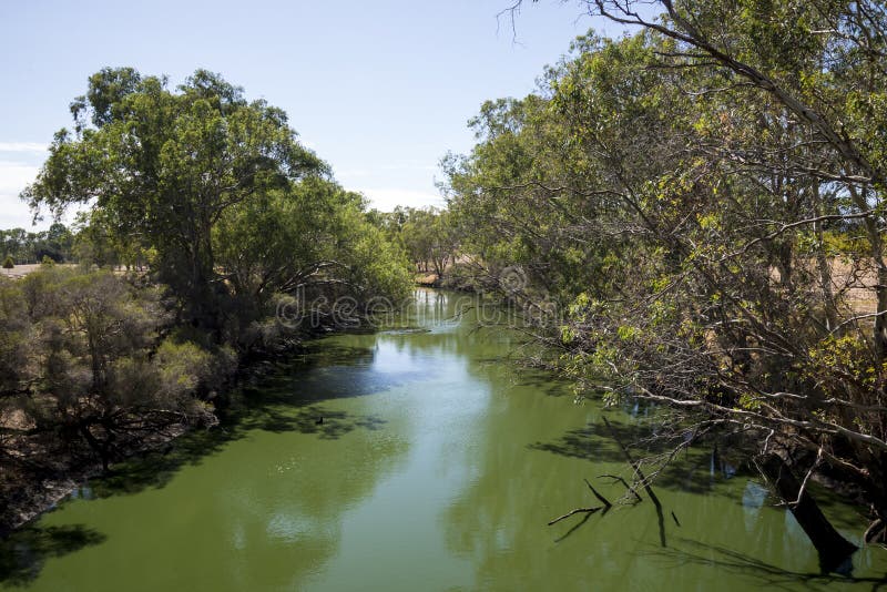 Vista del río del cisne del peatón de Maali y del puente de los ciclistas adentro imagen de archivo libre de regalías Vista del río del cisne del peatón de Maali y del puente de los ciclistas adentro imagen de archivo libre de regalías