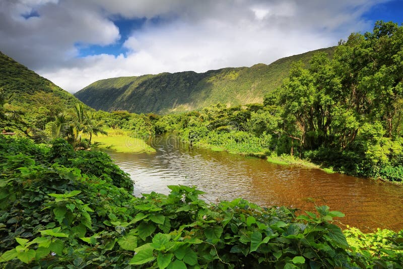 Vista del río en el valle de Waipio fotografía de archivo Vista del río en el valle de Waipio fotografía de archivo