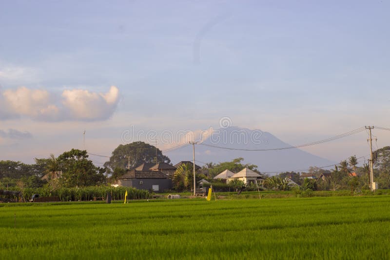 Vista del vulcano di Agung dalle risaie sul tramonto fotografia stock libera da diritti Vista del vulcano di Agung dalle risaie sul tramonto fotografia stock libera da diritti