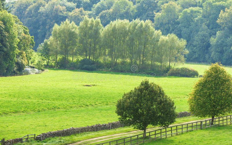 Vista della campagna del campo verde Paesaggio della natura immagini stock Vista della campagna del campo verde Paesaggio della natura immagini stock