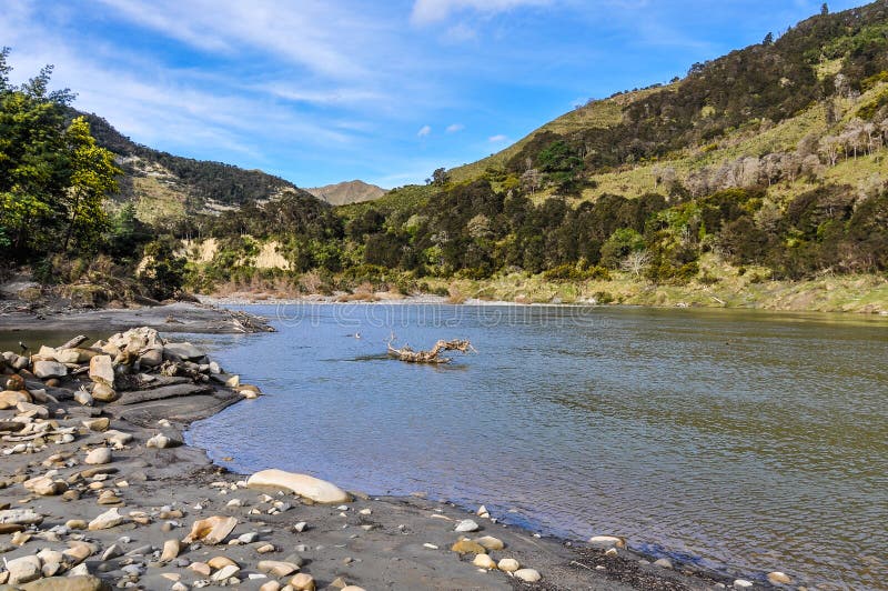Vista della riva del fiume nel parco nazionale di Whanganui, Nuova Zelanda immagine stock Vista della riva del fiume nel parco nazionale di Whanganui, Nuova Zelanda immagine stock