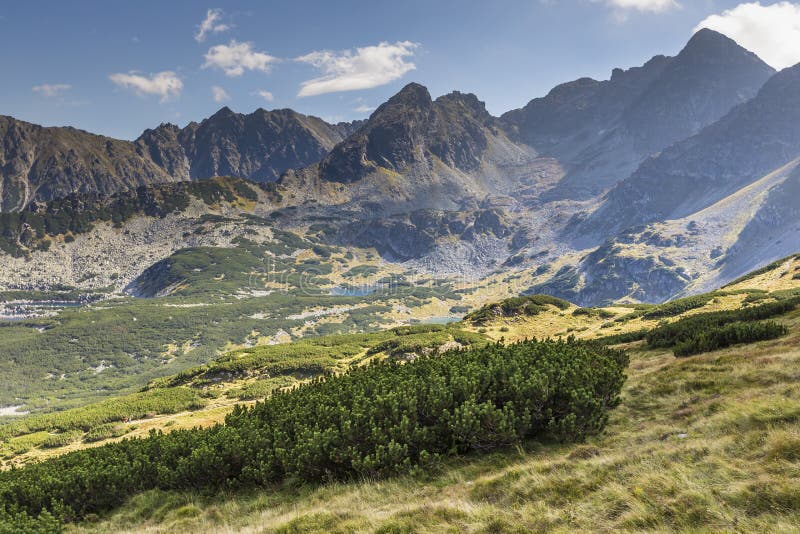 Vista delle montagne di Tatra dalla traccia di escursione poland europa fotografie stock libere da diritti Vista delle montagne di Tatra dalla traccia di escursione poland europa fotografie stock libere da diritti