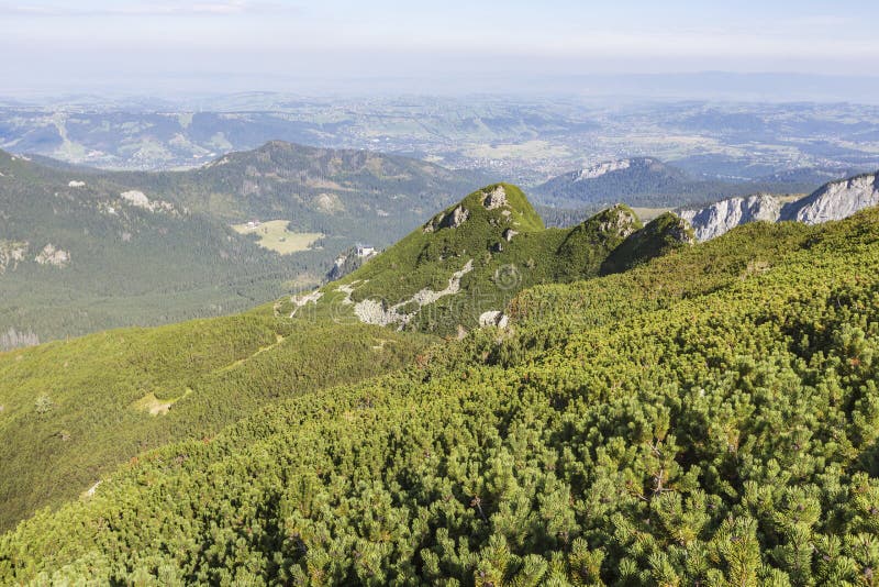 Vista delle montagne di Tatra dalla traccia di escursione poland europa immagini stock Vista delle montagne di Tatra dalla traccia di escursione poland europa immagini stock