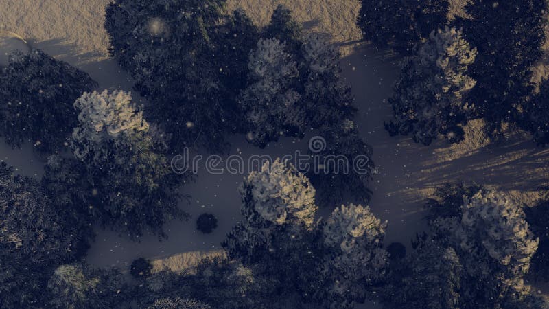Vista di Aereal di una foresta di nevicata a natale immagine stock Vista di Aereal di una foresta di nevicata a natale immagine stock