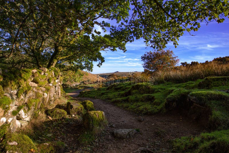 Vista di Dartmoor dal percorso al legno di Wistmans fotografia stock libera da diritti Vista di Dartmoor dal percorso al legno di Wistmans fotografia stock libera da diritti