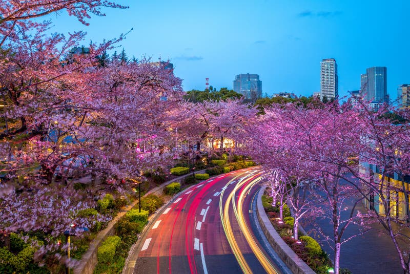 Vista di notte del Midtown di Tokyo in roppongi, Giappone fotografia stock Vista di notte del Midtown di Tokyo in roppongi, Giappone fotografia stock