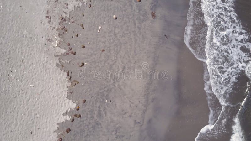 Vista di occhio di uccelli di Shoreline