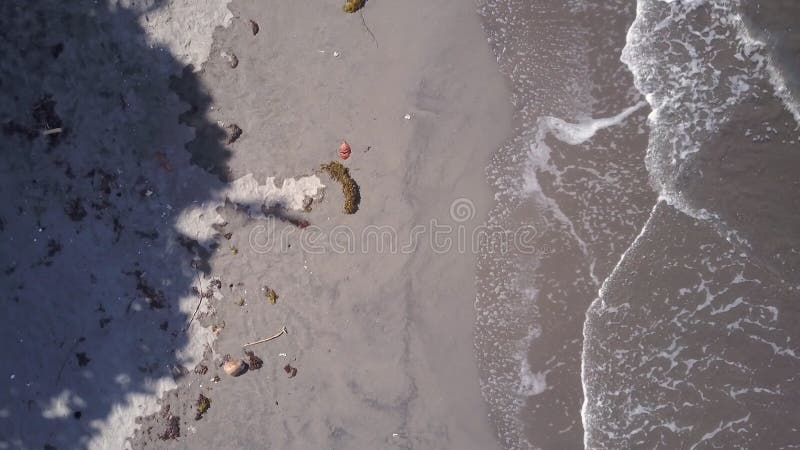 Vista di occhio di uccelli di Shoreline