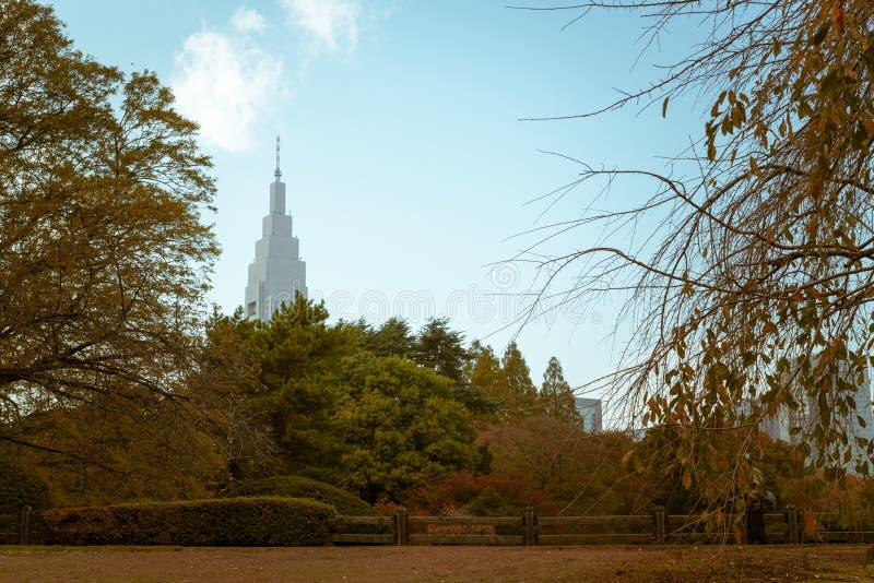 Vista di Shinjuku Gyoen durante l'autunno, con un grattacielo alto nei precedenti immagine stock libera da diritti Vista di Shinjuku Gyoen durante l'autunno, con un grattacielo alto nei precedenti immagine stock libera da diritti